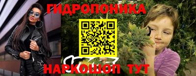 гашик Гусь-Хрустальный