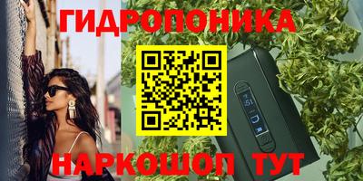 гашик Гусь-Хрустальный