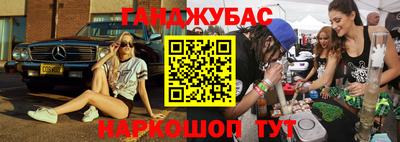 гашик Гусь-Хрустальный